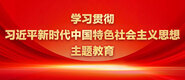 屄操网址学习贯彻习近平新时代中国特色社会主义思想主题教育_fororder_ad-371X160(2)